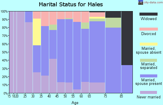 Zip code 27313 marital status for males