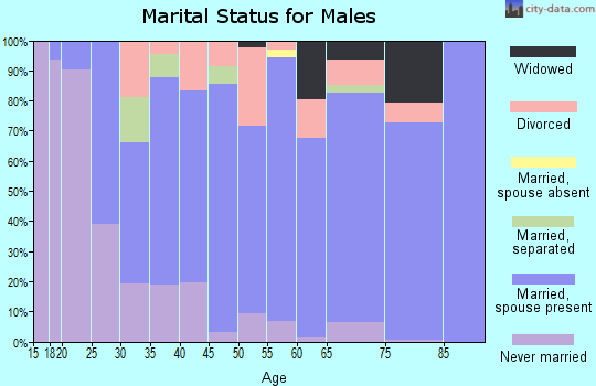 Zip code 27317 marital status for males
