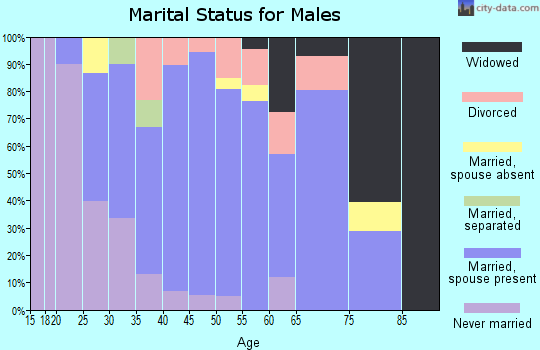 Zip code 27341 marital status for males