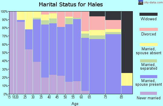 Zip code 27344 marital status for males