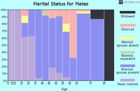 Zip code 27349 marital status for males