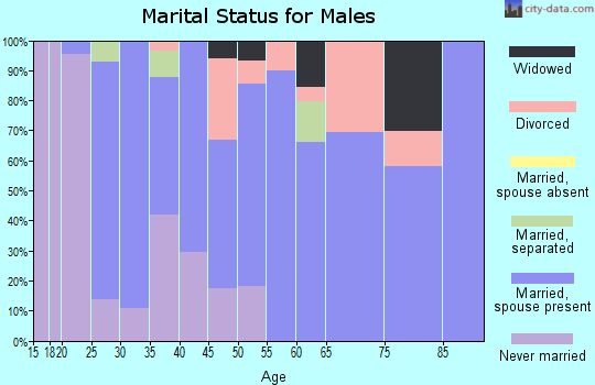 Zip code 27350 marital status for males