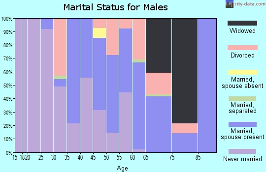 Zip code 27356 marital status for males