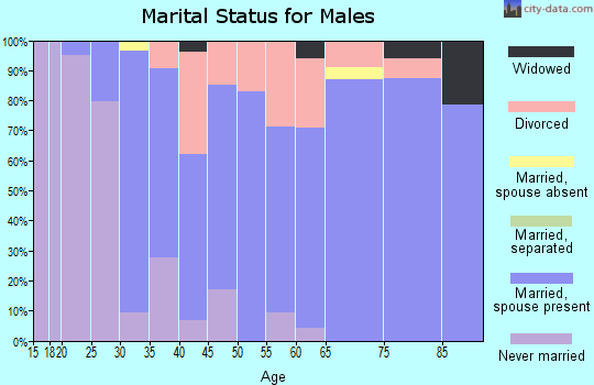 Zip code 27357 marital status for males