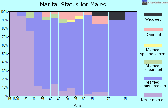 Zip code 27358 marital status for males