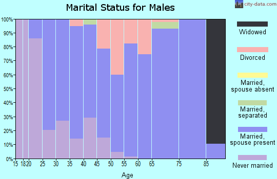 Zip code 27377 marital status for males