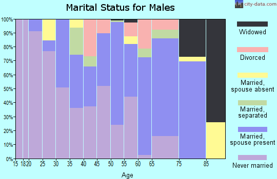 Zip code 27379 marital status for males