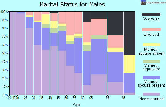 Zip code 27401 marital status for males