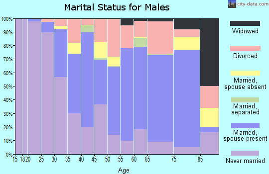 Zip code 27403 marital status for males