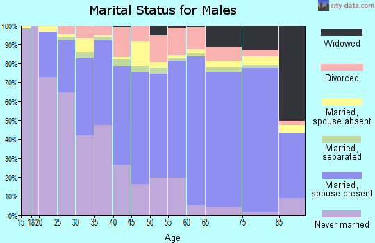 Zip code 27407 marital status for males