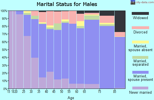 Zip code 27410 marital status for males