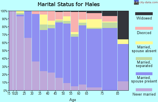 Zip code 27455 marital status for males