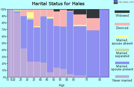 Zip code 27501 marital status for males