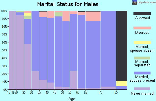 Zip code 27502 marital status for males