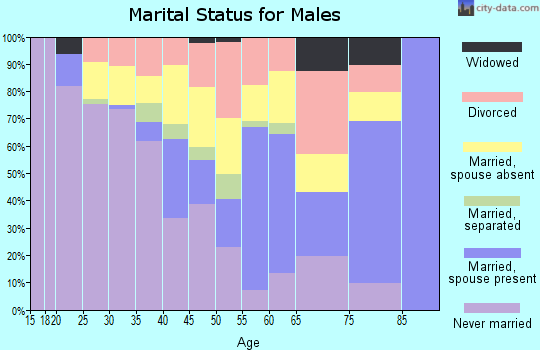 Zip code 27503 marital status for males