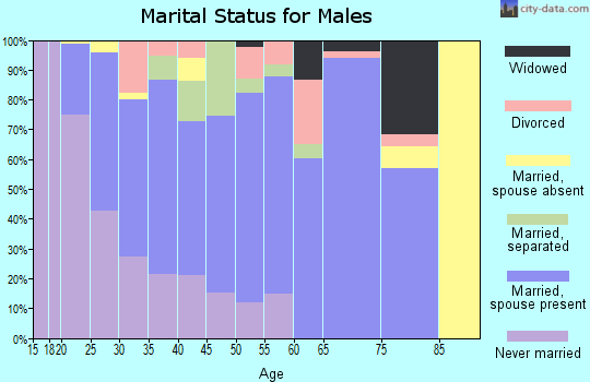 Zip code 27504 marital status for males