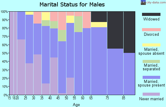 Zip code 27505 marital status for males