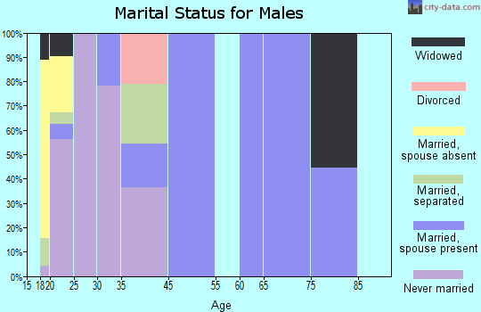 Zip code 27506 marital status for males