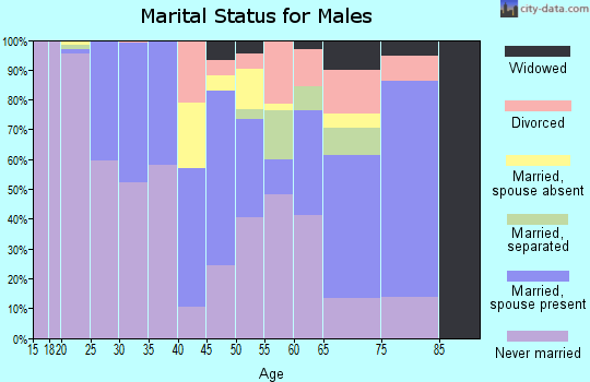 Zip code 27509 marital status for males