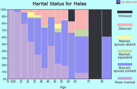 Zip code 27510 marital status for males