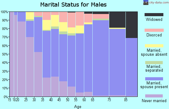 Zip code 27511 marital status for males