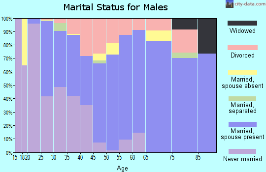 Zip code 27521 marital status for males