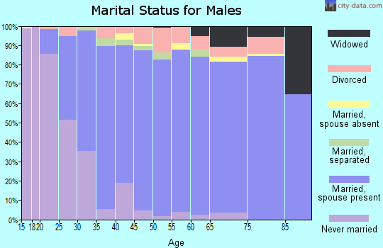 Zip code 27526 marital status for males