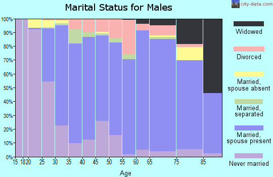 Zip code 27529 marital status for males