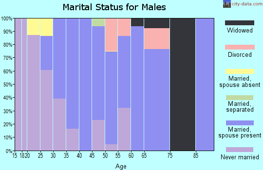 Zip code 27541 marital status for males