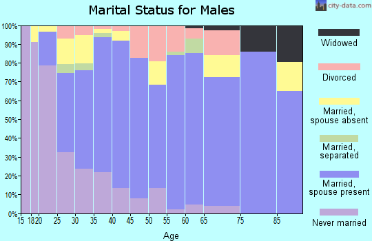 Zip code 27545 marital status for males