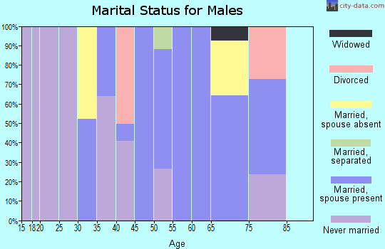 Zip code 27559 marital status for males