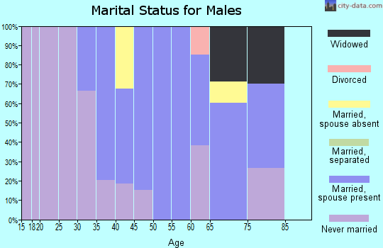 Zip code 27562 marital status for males