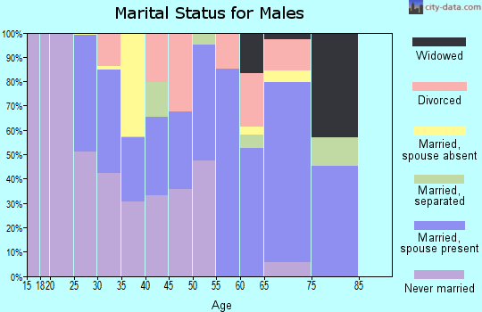 Zip code 27563 marital status for males