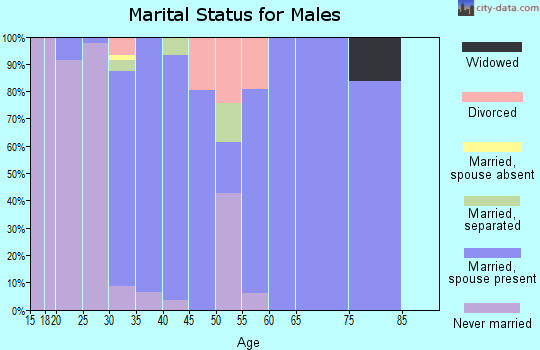 Zip code 27571 marital status for males