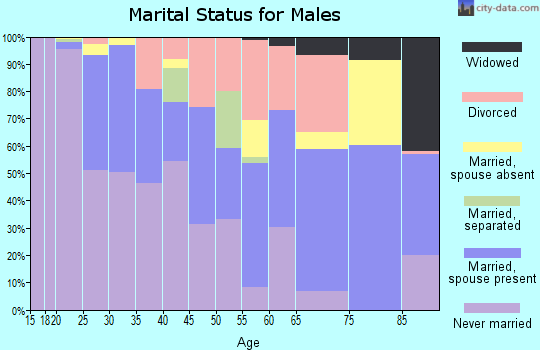 Zip code 27573 marital status for males
