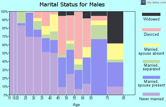 Zip code 27581 marital status for males