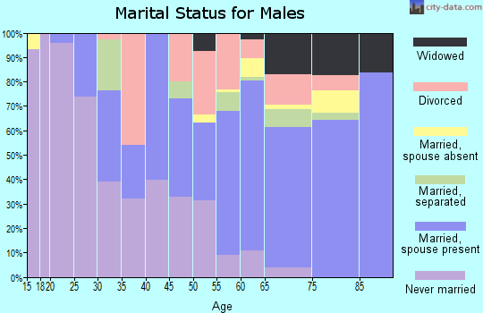 Zip code 27589 marital status for males