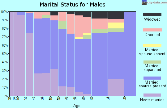 Zip code 27591 marital status for males