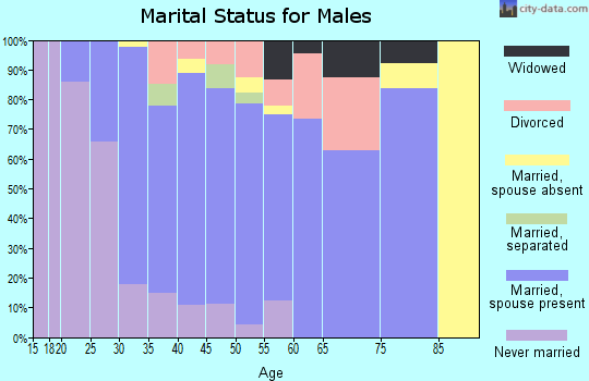 Zip code 27592 marital status for males