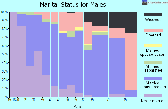 Zip code 27597 marital status for males