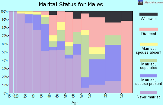Zip code 27601 marital status for males