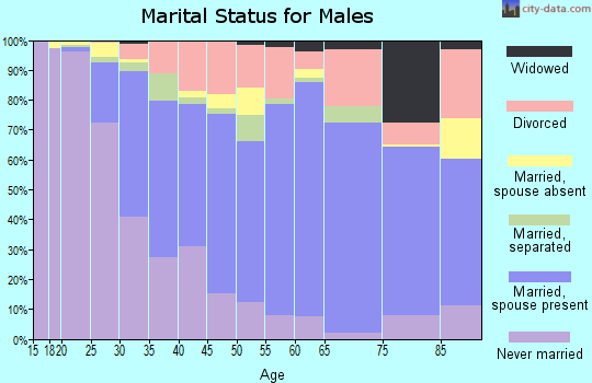Zip code 27603 marital status for males