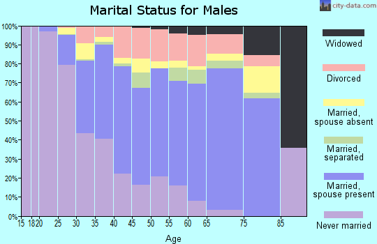 Zip code 27606 marital status for males