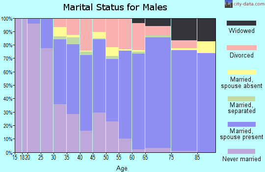 Zip code 27609 marital status for males