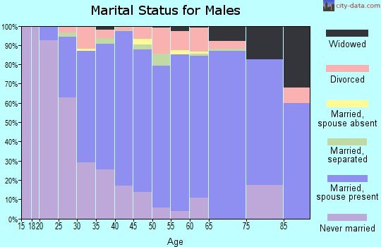 Zip code 27613 marital status for males