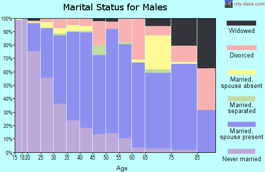 Zip code 27616 marital status for males