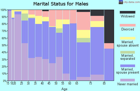 Zip code 27703 marital status for males