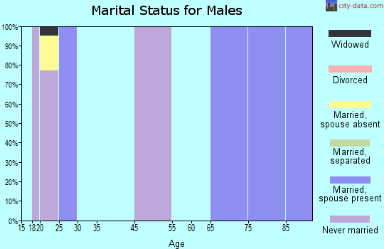 Zip code 27706 marital status for males
