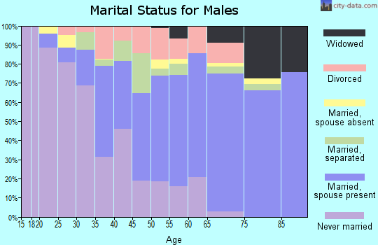 Zip code 27801 marital status for males