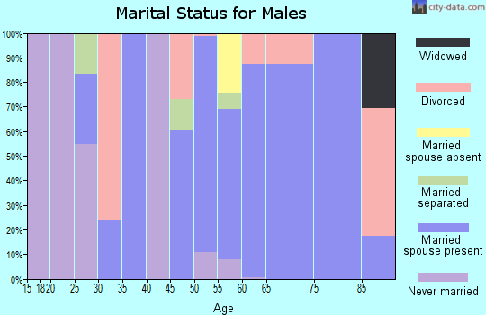 Zip code 27806 marital status for males
